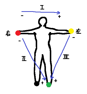 四肢誘導の図